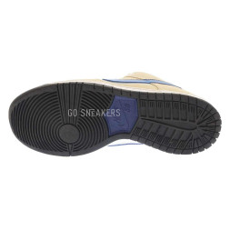 Nike Dunk SB Low Truck It