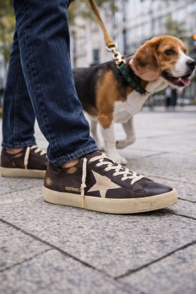 Мужские кеды Golden Goose Super-Star Men’s Distressed Suede-Trimmed Leather Brown